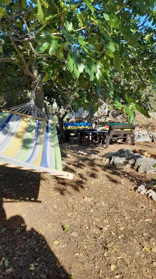 Apartman Dida Jakov プリモシュテン エクステリア 写真